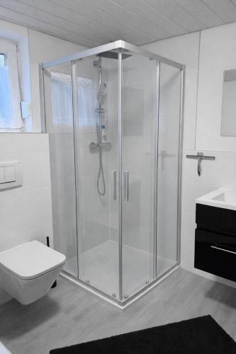 a bathroom with a shower with a toilet and a sink at Manni's Home in Munderkingen