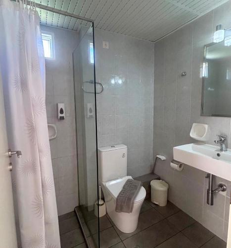 a bathroom with a toilet and a sink and a shower at Ermis Suites in Platanias
