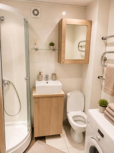 a bathroom with a toilet and a sink and a shower at Nemunas in Panevėžys