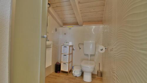 a small bathroom with a toilet in a room at Villa Skala by Villas Guide in Novi Vinodolski