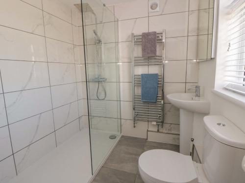 a bathroom with a shower and a toilet and a sink at Rosemary Cottage 2 in Tywyn