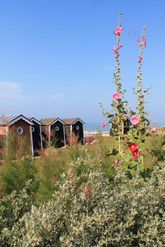a group of huts in a field with flowers at Le clos des mûriers in Hautot-sur-Mer