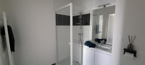 a white bathroom with a shower and a sink at L'Appar-TMN in Challans