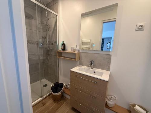 a bathroom with a sink and a shower at L'Opaline - Bord de Seine près de Giverny in Vernon