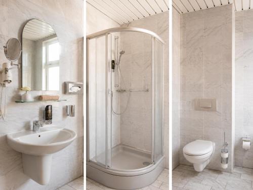 a bathroom with a shower and a sink and a toilet at Parkhotel Waldschlösschen in Annaberg-Buchholz