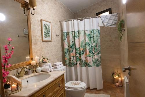 a bathroom with a toilet and a shower curtain at Casa El Filali in Villaminaya