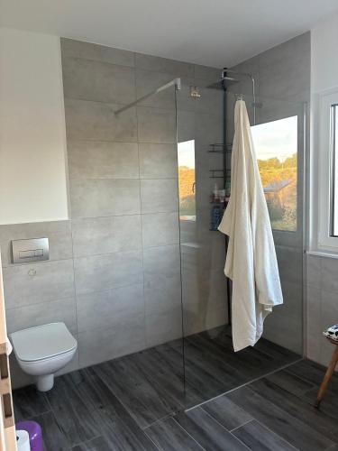 a bathroom with a shower and a toilet at Hedwig und Anna in Zapfendorf