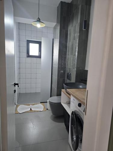 a bathroom with a toilet and a sink at Apartament My Room in Curtea de Argeş