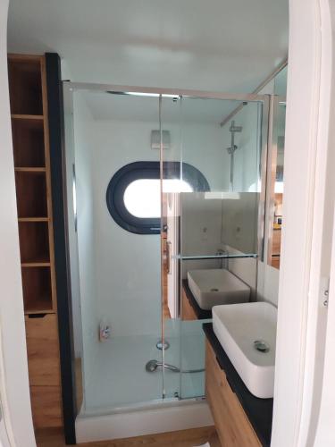a bathroom with a sink and a mirror at Bateau Lac du Der - Nuisement - Navigation in Les Petites-Côtes