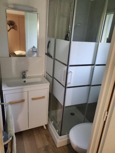 a bathroom with a shower and a sink and a toilet at Chalets du Causse 2 in Gelle