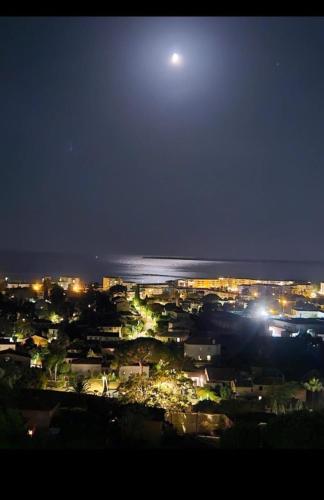 Lovely 48 m2 appt with sea view and swimming pool photo 14