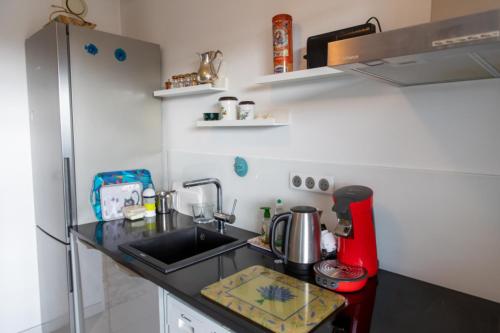 Lovely 48 m2 appt with sea view and swimming pool photo 7