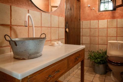 a bathroom with a sink with a bucket on a counter at Casa Yolanda in Bojar