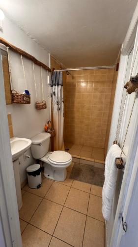 a bathroom with a toilet and a sink and a shower at Chill room front sea in Philipsburg