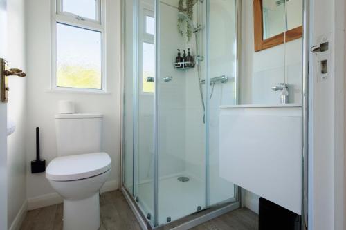 a bathroom with a toilet and a glass shower at Hot Tub With A View - Christchurch Harbour in Christchurch