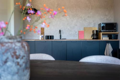 a kitchen with blue cabinets and a counter top at Oan 'e Haven in Oudega