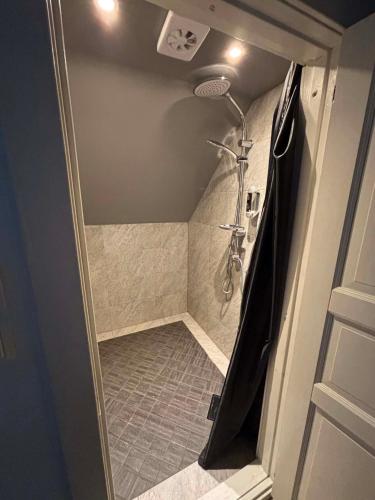 a bathroom with a shower with a shower at Charlottenlunds Gårdshotell & Restaurang in Långaryd