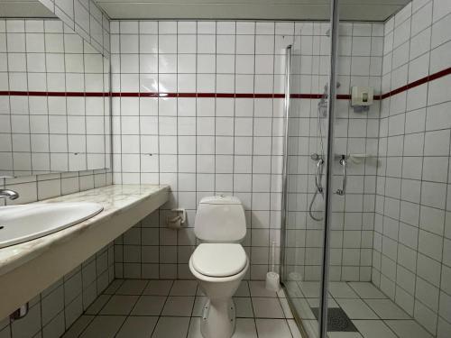 a bathroom with a shower and a toilet and a sink at Actif 305 Apartment by Ål Ski Center in Al