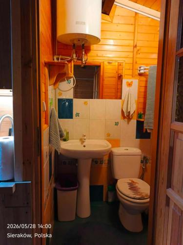 a small bathroom with a toilet and a sink at Słowicza Chatka in Sieraków