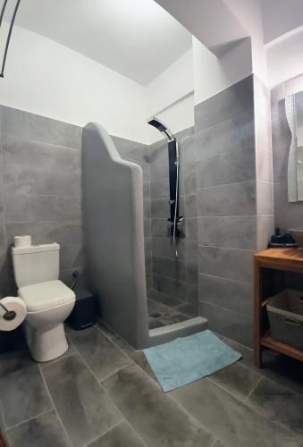 a bathroom with a shower with a toilet and a sink at MARGARITA'S-STUDIOS in Koufonisia