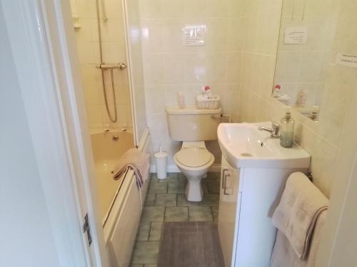 a small bathroom with a toilet and a sink at Riverview House in Athlone