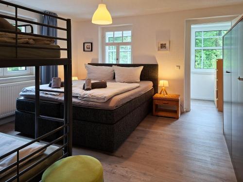 a bedroom with a bunk bed and a ladder to a bunk bed at Villa Amselgrund in Rathen