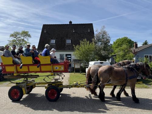 CUXHomes ǀ Da will ich hin ǀ Nordseeurlaub in Cuxhaven-Sahlenburg photo 53