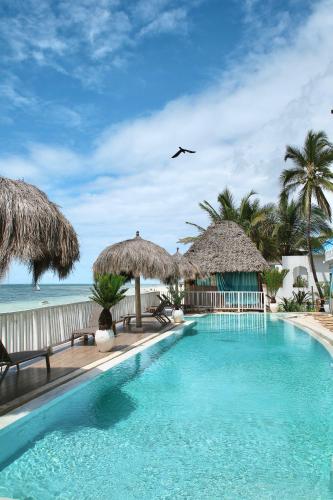 a swimming pool with chairs and umbrellas and the ocean at ZAN Island Beach in Jambiani