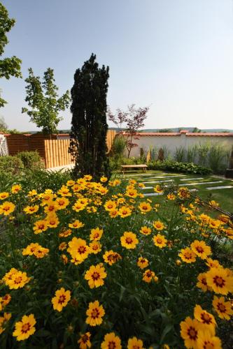 a field of yellow flowers in a yard at Landhotel Schwabenhof in Heiligenbrunn