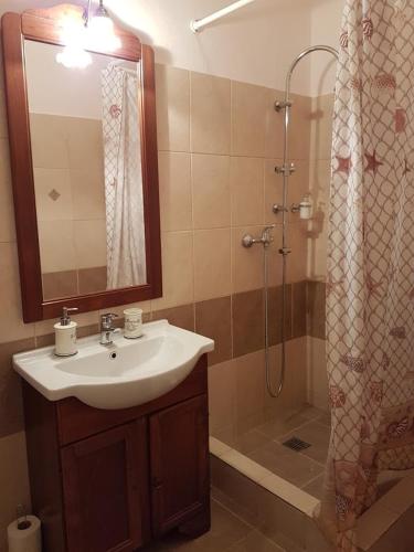 a bathroom with a sink and a shower at Central Square Studios in Sibiu