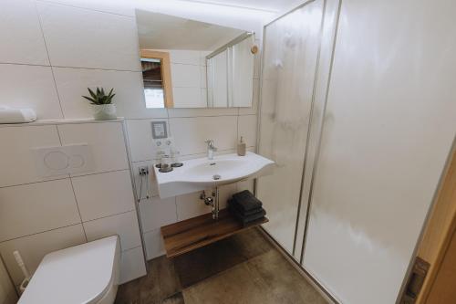 a bathroom with a toilet and a sink and a shower at Sonnenhang Montafon in Sankt Gallenkirch