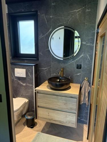 a bathroom with a sink and a mirror at Wellnesslodge Merel jacuzzi sauna and privacy in Dalerveen