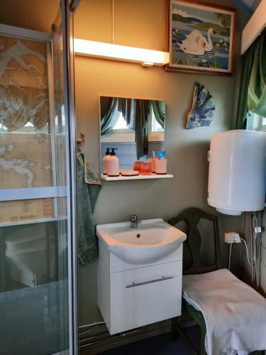 a small bathroom with a sink and a shower at Kystbua 360 in Saltstraumen