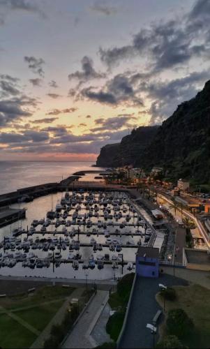 an aerial view of a marina with a bunch of boats at Meu Quintal 3, Calheta-Madeira in Calheta