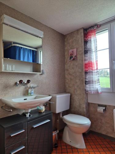 a bathroom with a toilet and a sink and a mirror at Gemütliche Wohnung im Grünen in Herisau