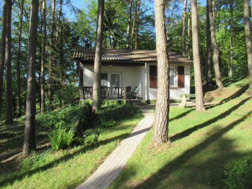 a small cottage in the woods with trees at Feriendorf Mengshausen 1 in Niederaula