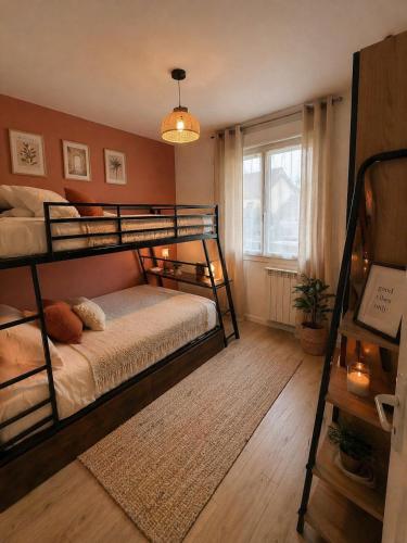 Cozy Flat Le Mans