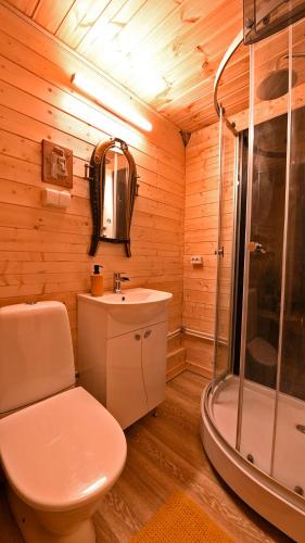 a bathroom with a toilet and a shower and a sink at Uneallika hubane saunaga majake "Hoburaud" in Pae