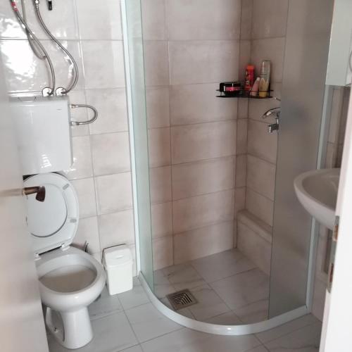 a bathroom with a shower and a toilet and a sink at Apartman Ružica in Banja