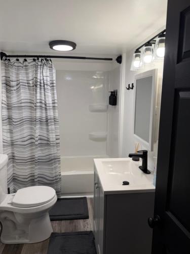 a bathroom with a toilet and a sink and a shower at Buckeye Lake Getaway in Thornville