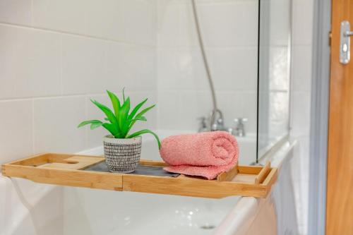 a bathroom shelf with a pink towel and a plant at 6 Bed in Holsworthy oc-89218 in Merryfield