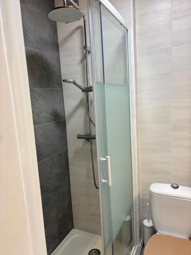 a bathroom with a glass shower with a toilet at Whitebearlodge in Arâches-la-Frasse