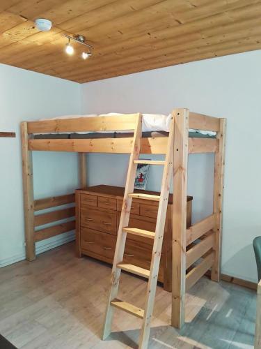 a bunk bed with a ladder in a room at Whitebearlodge in Arâches-la-Frasse