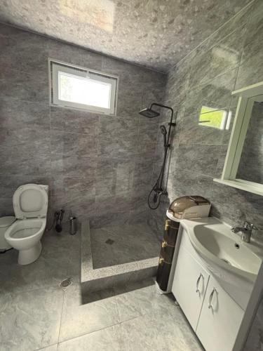 a bathroom with a shower and a toilet and a sink at Горный коттедж in Kobuleti
