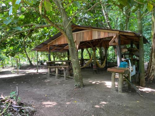 a wooden pavilion with benches and a tree at Camping Los Búfalos in Guácimo