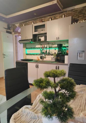 S-type apartment in the center
