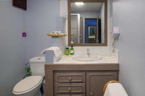 a bathroom with a sink and a toilet and a mirror at Beachfront Duplex with Estate Pool in Bain Boeuf