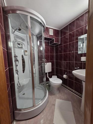 a bathroom with a shower and a toilet and a sink at Casa Elena - Resort & SPA in Voronet