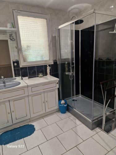a bathroom with a shower and a sink at Maison de campagne à Balaives et Butz in Flize