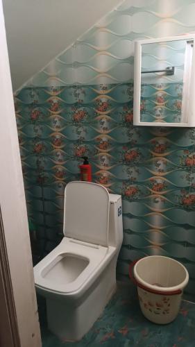 a bathroom with a toilet and a mirror at Mist N Mountain in Kurseong